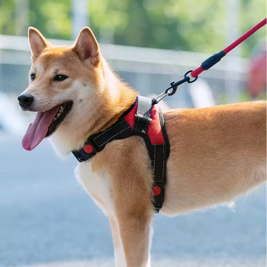 Pretal Acolchonado para Perros ROJO M